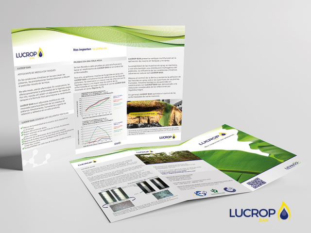 LUCROP Faltblatt Design